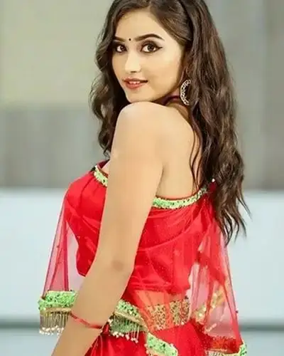 Call Girls Service Somajiguda